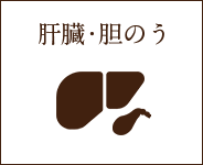 肝臓・胆のう